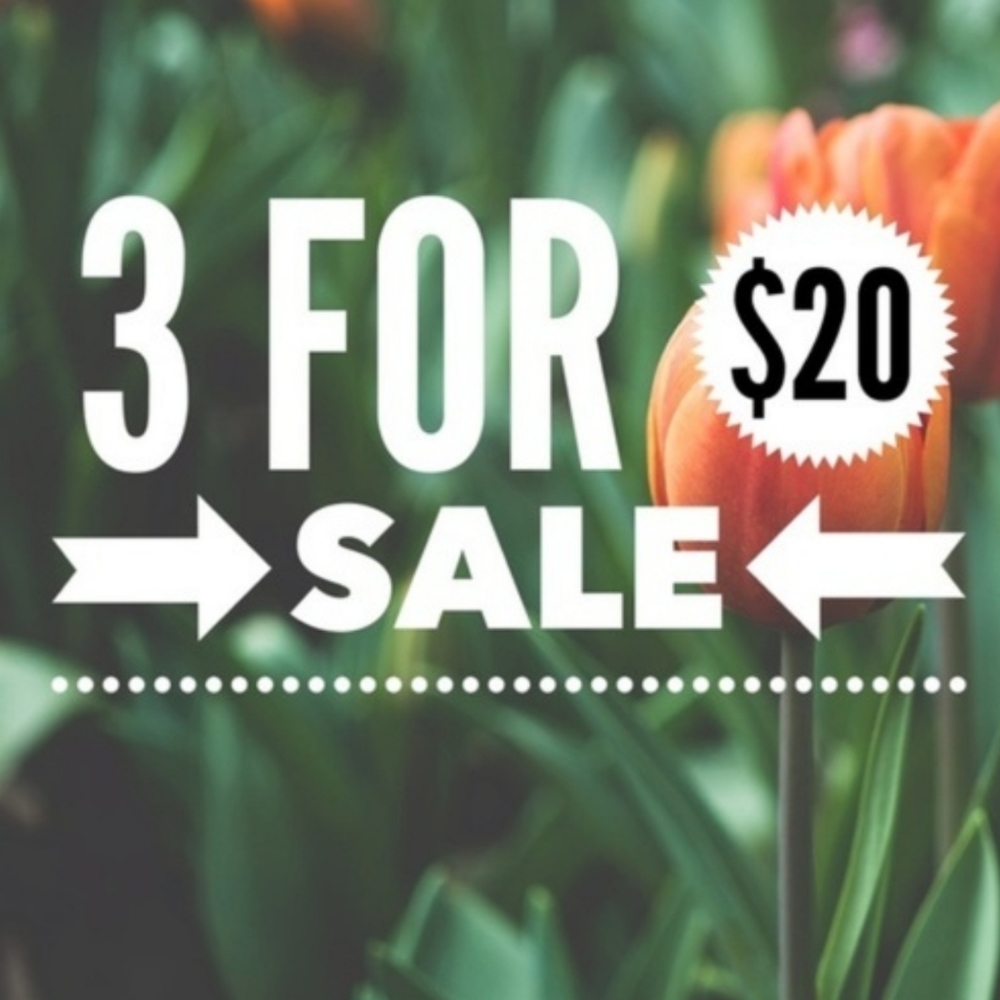 Everything $10 and Under